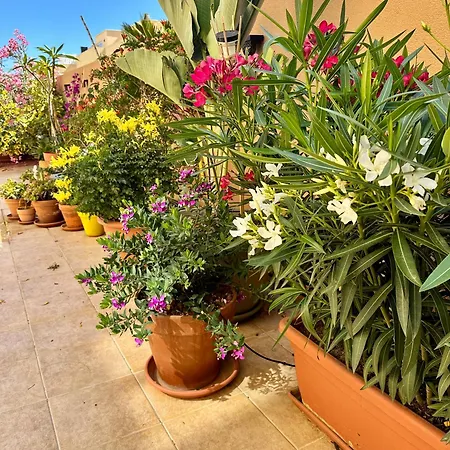 Terraza Del Sol Appartamento
