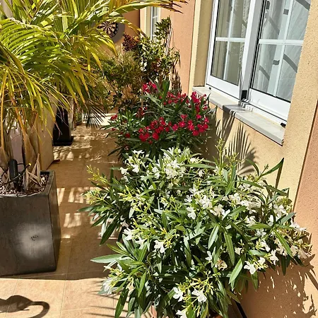 Appartamento Terraza Del Sol *